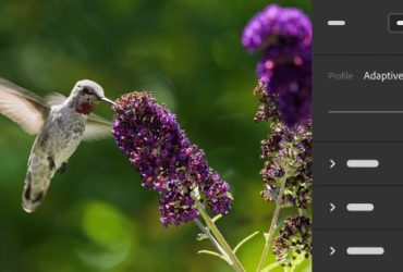Adobe esittelee mukautettavat profiilit Lightroomille ja Camera Raw'ille