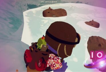 Löydä mistä löytää capybaras huippu: Ultimate Guide