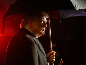 Trump aikoo käyttää TikTok-ratkaisuvaroja DC:n kaunistamiseen